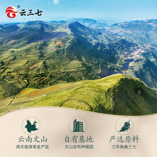 云三七云南文山三七粉90g（3g*30袋）散瘀止血消肿定痛可溯源道地产区