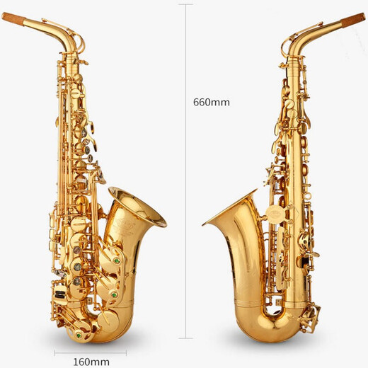 萨尔特中音萨克斯管乐器初学者专业降e调SP-6600 进口铜材 台湾原装原产 仿古青铜色