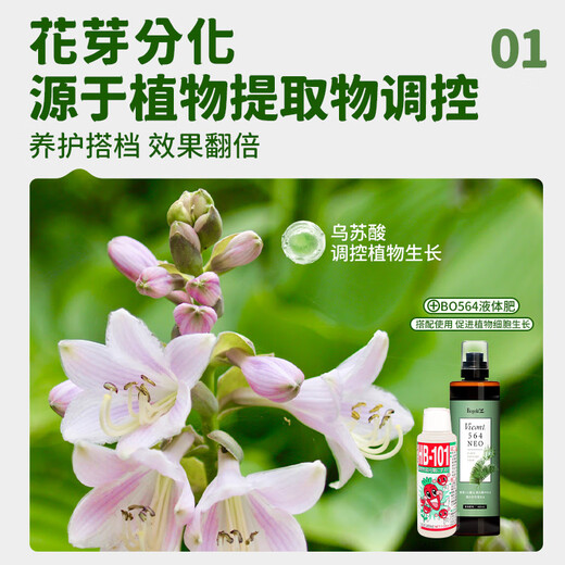 HB-101 plant activator nutrient solution 50ml growth-promoting orchid succulent seedling rooting solution universal for flower cultivation