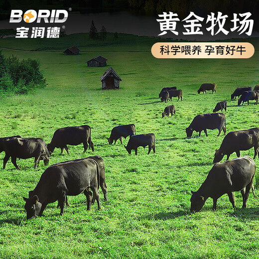 Baorunde Australian Raw Cut Beef Tendon 4Jin Jin is equal to 0.5kg Fresh Beef Tendon Meat Stewed Braised Beef Ingredients Straight from the Source