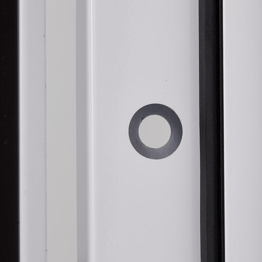 WS профессиональная звукоизоляционная дверь для консьержа, студия звукозаписи, бар, КТВ, межкомнатная дверь, спальня, звукоизоляционная дверь для домашнего кинотеатра, стальная звуконепроницаемая дверь, 30 децибел/цена за квадрат