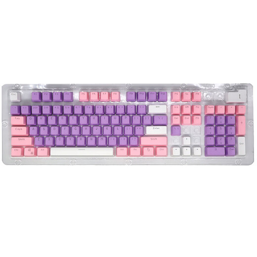 Logitech K845 Mechanischer Tastatur Mechanischer Schlüsselwelle Mechanische Tastatur E-Sports Ti-Desk externer Laptop 104-Key-Einzel-Einlicht-Handelsmodell G102 Set K845 Purple Lover-Tee-Welle