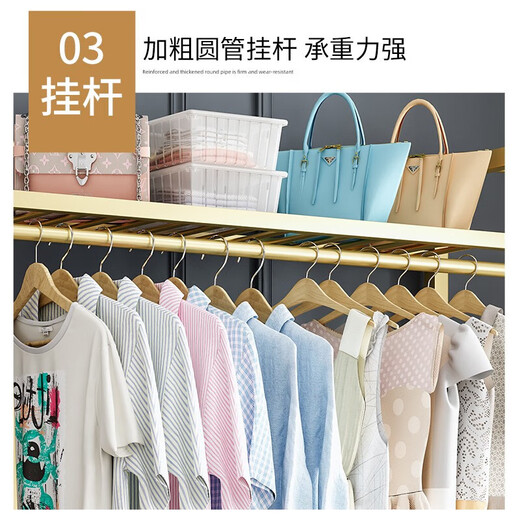 索尔诺（SuoErnuo） 衣帽架落地卧室衣挂衣架阳台家用置物衣服挂架收纳可置物衣帽架 9853金色【长120宽38高170】