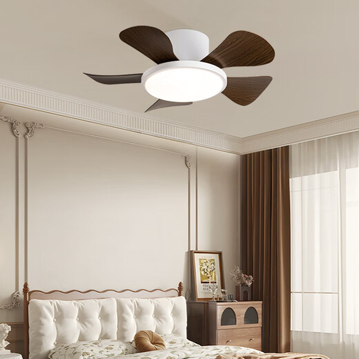 风向标儿童房卧室风扇灯马卡龙小型吊扇灯家用静音过道阳台薄吸顶电扇灯 全光谱小爱29-724A绿+彩色叶吸顶