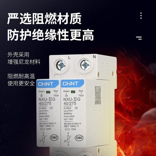 正泰（CHNT）浪涌保护器 NXU-ⅡG电源防雷器 电涌防雷开关 家用避雷器 二级 NXU-ⅡG-40kA/275V 2P