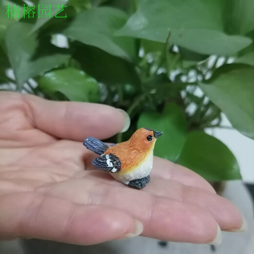 Phoebe gardening micro-landscape ornaments bird resin crafts cute simulated bird's nest gardening bonsai decorative bird eggs small orange bird