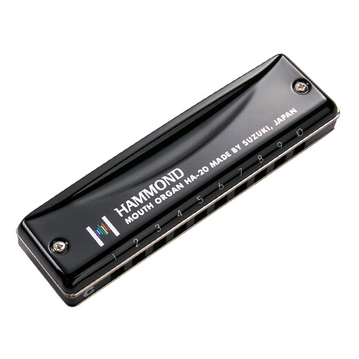 SUZUKI Suzuki Japan imported HA-20 Hammond Beginners Professional Playing Blues Harmonic F Tune Gives a Full Set of Gifts