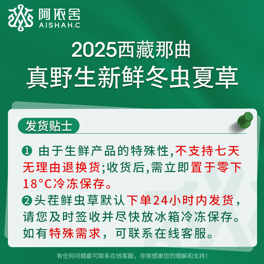 阿依舍新鲜野生冬虫夏草鲜断草50克西藏那曲鲜虫草源头直发包邮
