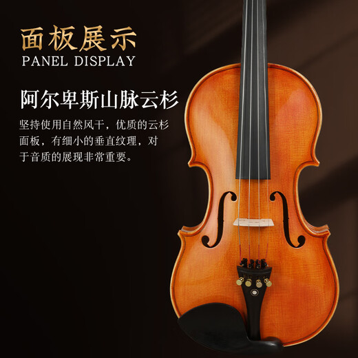 Finelegend Violin Kinder für Erwachsene Anfänger Praxis Professionelle Bewertungsuntersuchung L7 4/4