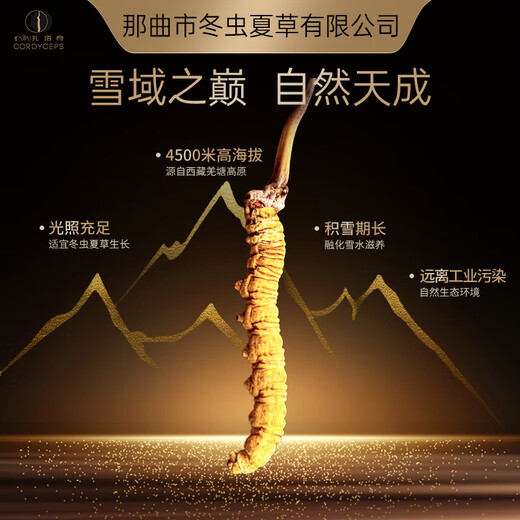 Nagqu Cordyceps sinensis wild Cordyceps 4 roots/g high-quality tonic Cordyceps gift box Health care nutrition supplements for elders and leaders and parents [Preferred for self-use] 3 roots
