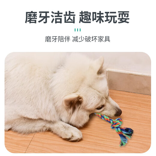 Cute Star Pet Dog Toy Anti-Crush Teeth Cleaning Set Cotton Rope Braided Ball Interactive Training Screaming Chicken Dog Supplies
