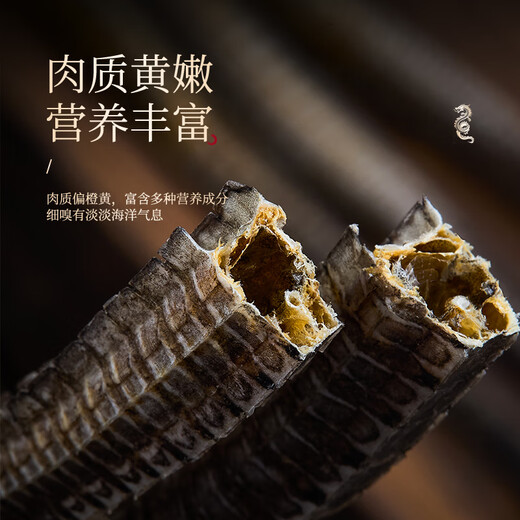 半山农六角海龙泡酒中药材料超长大新晒整支煲汤食材 可搭海马锁阳黄精