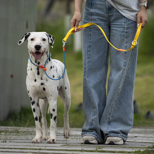 HowgoHowgo Training P Rope Dog Leash Dog Rope Harness Small, Medium and Large Dog P Chain Explosion-Proof No Hair Stuck No Hair Stuck Upgraded Dopamine Training P Rope