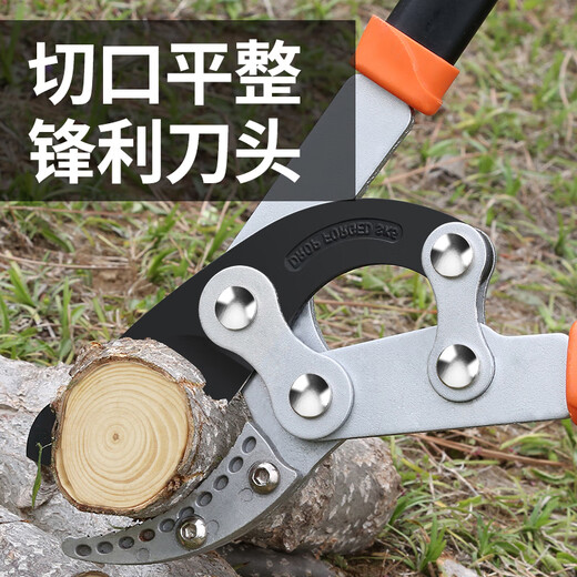 Zhengqi thick fruit tree pruning scissors, vigorous greening pruning pruning branches, garden special powerful scissors for flowering and tree branches, labor-saving, extra-long model comes with spare blade + folding saw