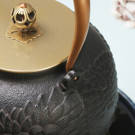 Shushi iron kettle kettle electric ceramic stove for tea making Japanese craft tea kettle handmade cast iron kettle set gift box