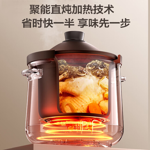 SUPOR quick-cooking electric stew pot, electric casserole, electric stew pot, purple casserole, bird's nest stew pot, porridge cooking tool, porridge pot, 5L capacity DG50YC887