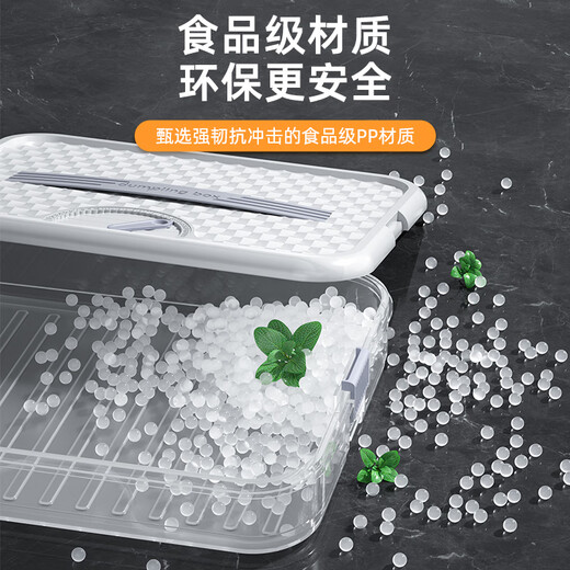 Yiwei Dumpling Box Household Food Grade Kitchen Refrigerator Wonton Box Storage Box Organizing Artifact Fresh-keeping Quick Freezing Special White One Layer Can Hold 70 Dumplings 1 Layer