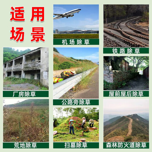 Eastern Sichuan pesticide cyclazinone copper weed killer, large trees, bamboos, shrubs, rotten roots and dead roots, special pesticide herbicide 200ml