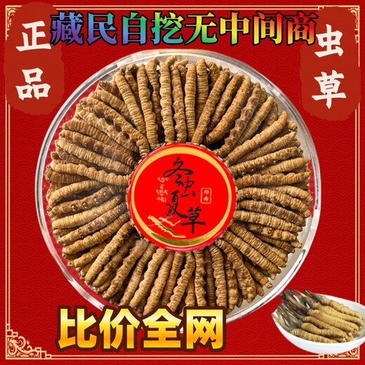 Premium Cordyceps sinensis 200/100/50/30 gift boxes for elders 0.5 grams each premium Cordyceps sinensis 0.5 grams each premium Cordyceps sinensis Nagqu, Tibet 30