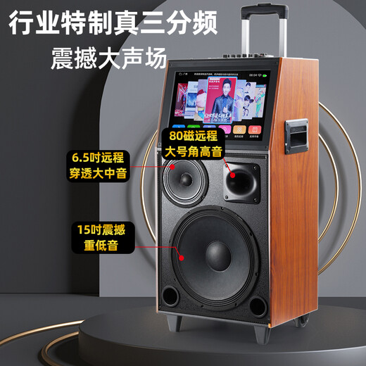 Temeisheng QX15-65H outdoor square dance video audio karaoke Bluetooth high-power with display screen song request mobile trolley speaker karaoke singing home performance Bluetooth speaker QX15-65+dual U-segment wireless microphone+gift package