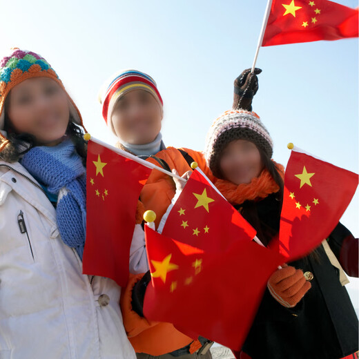 Youhe (UHOO) National Day hand holding small national flag hand-crank flag small red flag hand-crank flag small five-star red flag small flag No. 8 small national flag (100 faces + 100 poles + 32 stickers) 6198-2