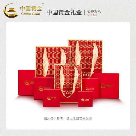 CHINA GOLD Obsidian Peace Buckle Necklace Men's 925 Silver Zodiac Book Valentine's Day Birthday Gift for Girlfriend and Wife Snake with Black Rope