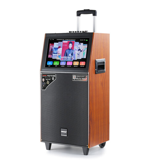 Temeisheng QX15-65H outdoor square dance video audio karaoke Bluetooth high-power with display screen song request mobile trolley speaker karaoke singing home performance Bluetooth speaker QX15-65+dual U-segment wireless microphone+gift package