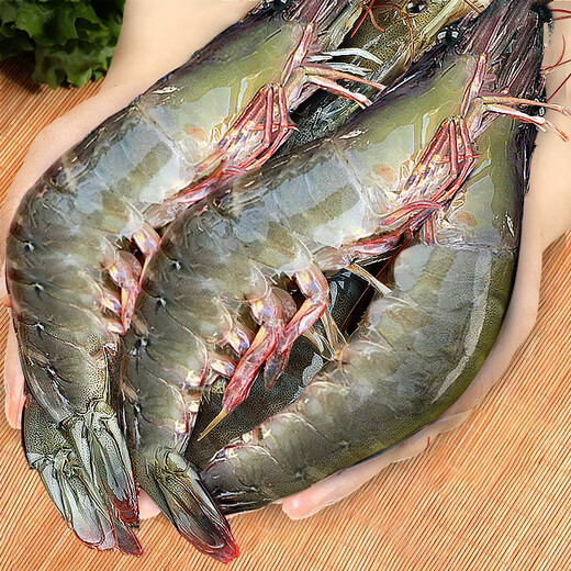 Bianxian Ecuador Prawns Fresh Prawns Salted Frozen Prawns 2030Specifications Net weight 3.3Jin Jin is equal to 0.5kg - Direct from the source