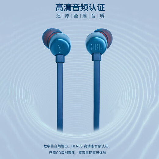 JBL TUNE310C Wired Headphone Type-C Interface Stereo In-Ear Headphones Computer Headphones Suitable for Huawei Apple USB-C Interface Mobile Phones [New Product in 2024] Blue