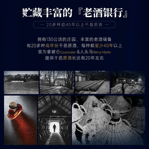 路易马西尼（Louis Marsyney）派斯顿法国进口洋酒XO白兰地40°烈酒礼盒装（原酒进口）秘密 单只装 700mL 1瓶