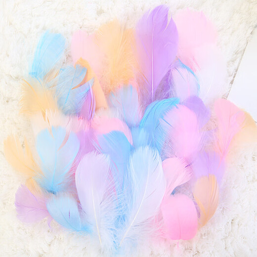 Haofanjie Feather White Decoration Props Ornaments Children's Handmade DIY Material Colorful Feather Pointed Down Down Imitation Goose Feather Small Floats About 4-8cm Long 100 Pieces