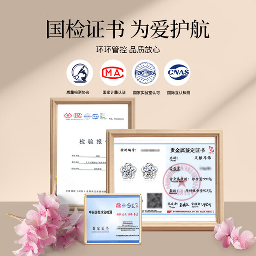 The only (Winy) 999 sterling silver earrings as a birthday gift for besties, wives and mothers, girls’ light luxury niche high-end earrings