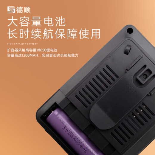 Deshun C3 Bluetooth radio amplifier multi-function FM broadcast portable wireless plug-in card U disk small external loop playback black recording model: radio amplifier