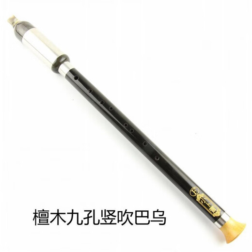 皇仕双管九孔巴乌乐器小学生竖吹横吹单管7七9孔大全 9孔木竖吹(G调)