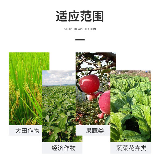 Biological Bacillus subtilis microbial inoculant bacterial fertilizer probiotic fertilizer agricultural nitrogen fixation and disease prevention 1kg 1.0kg