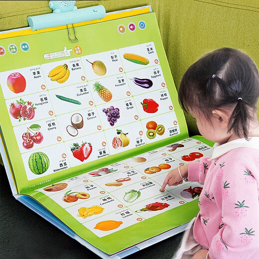 恒中意【五合一早教挂本】幼儿童早教机中英文点读书挂本宝宝学习小GK 充电版】升级47面有声挂图+跟读