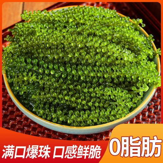 盐渍海葡萄泡发食用 儿童海藻菜海洋蔬菜海草 海葡萄100g*5袋【送芥末酱油】