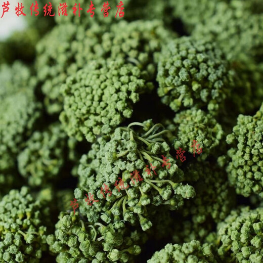 原料三七花文山三七花茶50g/100g/250g/500g四年新花正宗云南特产 四年三七花【50克】罐装
