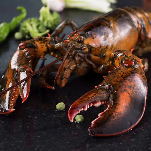 Fresh Boston lobster 400-500g/piece