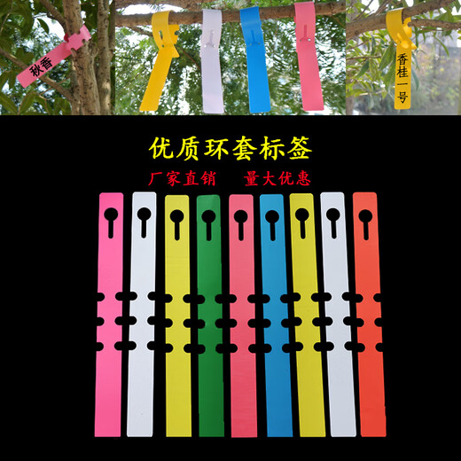 Shipton PVC waterproof ring set flower plant label sapling gardening label plastic orchid label ring buckle tag ring set-yellow (100 photos)