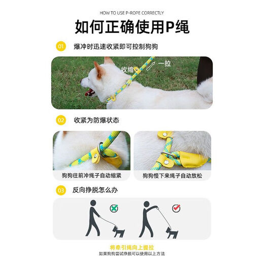 Pet traction rope, special dog leash for outdoor explosion-proof training for dogs, small, medium and large dog p chain, dog walking rope, 1 piece, 1.5 meters/0.6cm, green blue dots, no Specifications