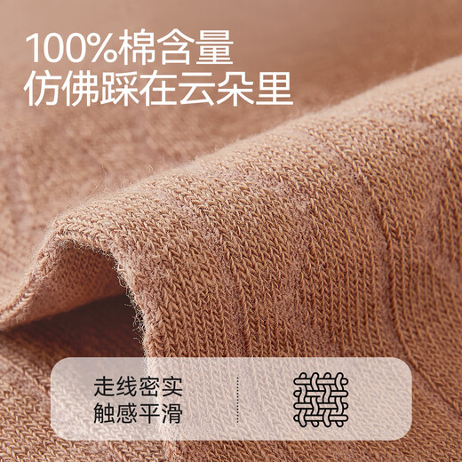 Catman women's socks for women 100% cotton 10A antibacterial autumn and winter bear embroidered mid-calf socks for women 25 years new 5 pairs