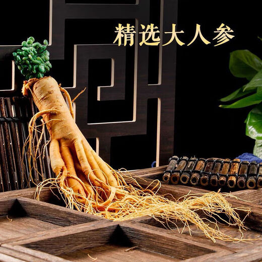 Eryabei [Boutique Changbaishan Extra großer Ginseng King] Pangdonglai Hochwertige Boutique Frisch Ginseng in Wein, Suppe und Tee Großhandel. 1 Fresh Ginseng hat ein Bruttogewicht von 7-10 Gramm. Ermäßigter Preis
