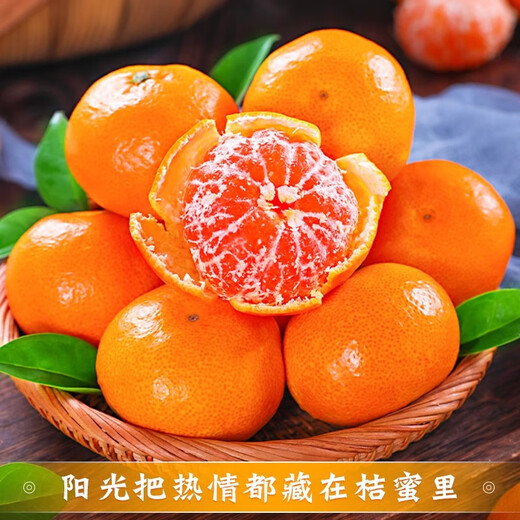 京觅浙江涌泉蜜桔 净重4.5斤 单果50mm+无籽蜜橘新鲜采摘源头直发包邮