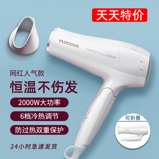飞科电吹风机家用护发负离子大功率静音小型宿舍用学生速干吹风筒 飞科FH6296青春色赠【卷梳套装】