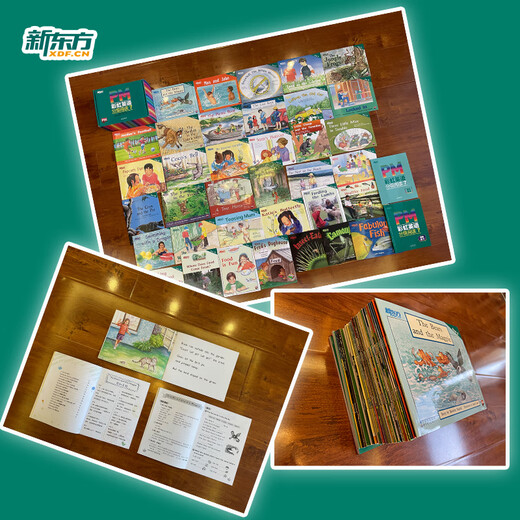 Offizieller Flagship-Store von New Oriental PM Rainbow English Graded Reading Englisch-Bilderbücher für Kinder für die Stufen 1–9 Komplettes Set Einzelbuch Optional American Cengage Original Kinderbuch Enlightenment English Picture Books für Kinder im Alter von 3–12 Jahren Integrierte englische Leselösung Wissenschaftliche abgestufte Click-to-Read-Version PM Rainbow English Level 7 (Anwendbar für Klasse 4)