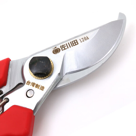 Huili got Sakawada Taiwan 120 pruning shears, fruit branch shears, gardening pruning shears, garden scissors, garden shears, Sakawada 120A pruning shears.