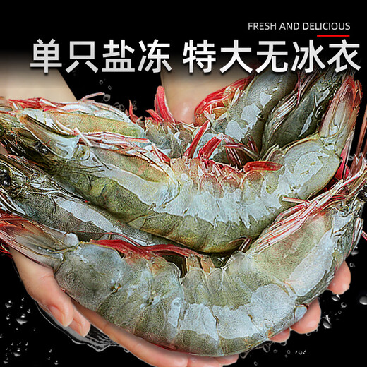 North Bay Shrimp Qingdao Prawn Fresh Frozen Base Shrimp Shrimp Seafood Water Produced Fresh White Shrimp Green Prawn Sea Shrimp Prawn Salt Frozen Prawn 3.3Jin Jin equal to 0.5kg (net weight) 16-18cm single frozen extra large shrimp