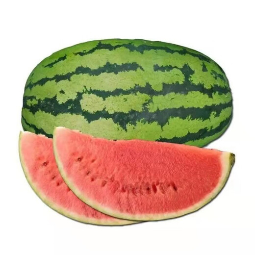 Lazy Man Watermelon, early maturing, stable yield, heat-resistant and drought-resistant, crispy and sweet, open-air garden courtyard original easy-to-grow melon seeds, Original Lazy Man Watermelon 100 capsules