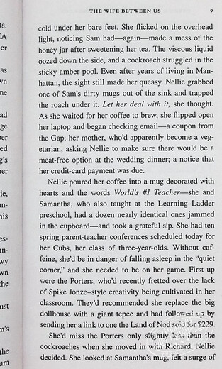 我们之间的妻子 The Wife Between Us 英文原版 Greer Hendricks  Sarah Pekkanen 奇幻惊悚小说